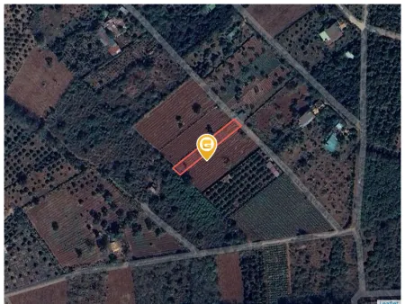 Bán đất 1000.6m² ngang 11,2m giá 1.6 tỷ Phường Tân Lập