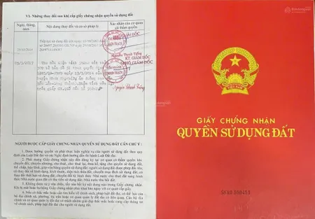 Chủ gốc địa phương cần bán gấp 884m2 mặt tiền đường dân sinh cao tốc giá siêu tốt