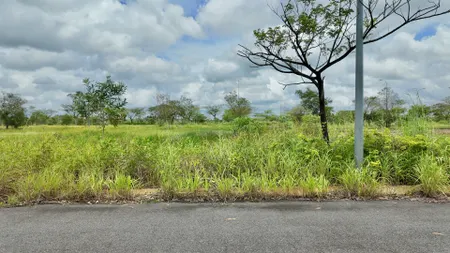 🌿 LÔ LIÊN KẾT VƯỜN  ĐƯỜNG TRẢI NHỰA – ĐỐI DIỆN TRƯỜNG HỌC & CÔNG VIÊN – GIÁ CHỈ 1 TỶ 500 🔥