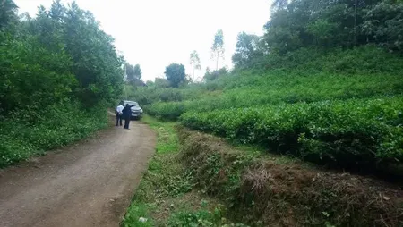 Bán đất nghỉ dưỡng, homestay