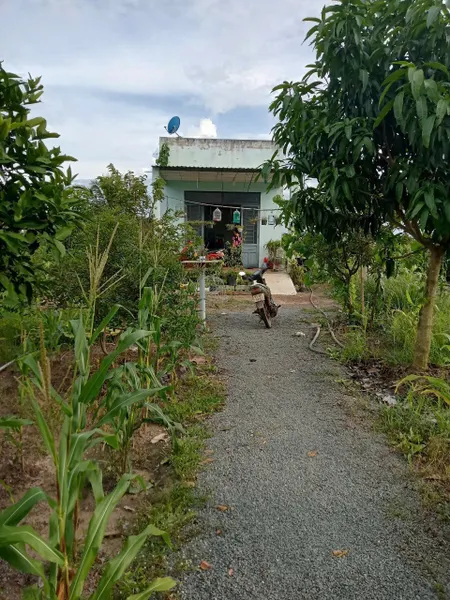 Bán Nhà Vườn