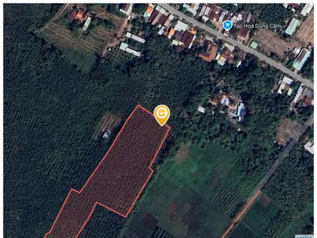 Bán đất 15833.4m² giá 7.9 tỷ tại Xã Thanh An Huyện Dầu Tiếng