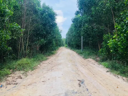 Bán gần 1.5 hecta đất Tân Phước, LaGi giá ngộp chỉ 262 triệu/ sào