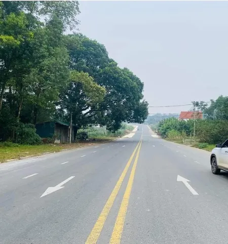 Bán đất 125m² ngang 5m giá 2.1 tỷ Xã Hy Cương