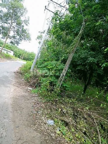 ĐẤT ĐẸP – GIÁ TỐT  – CHÍNH CHỦ CẦN BÁN TẠI Xã Suối Dây, Huyện Tân Châu, Tây Ninh