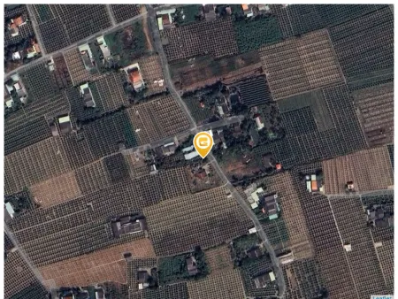 Bán nhà 886m² ngang 15m giá 1.2 tỷ Xã An Lục Long