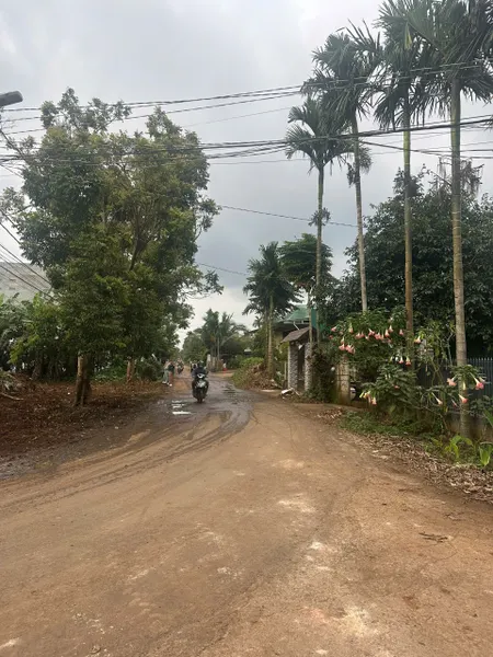 Bán đất 100m² giá 1.43 tỷ Phường Tân An