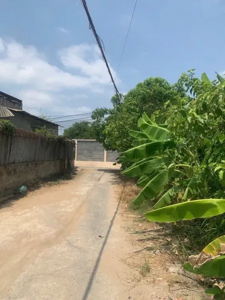 Bán đất nền Tân Tỉnh, Tân Mỹ Chánh
