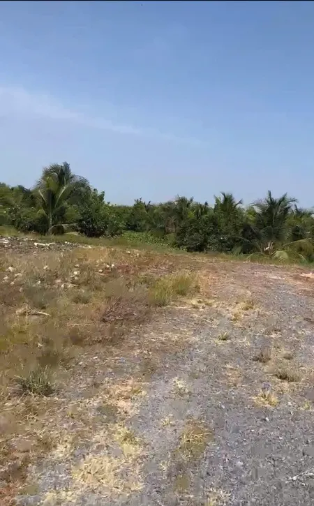 ĐẤT CHÍNH CHỦ - Bán 12.000M2 Đất Lúa - 2 Mặt Tiền Châu Thị Kim, An Vĩnh Ngãi, TP Tân An