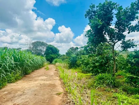 Bán đất 478.5m² giá 280 triệu Xã Cư Pơng