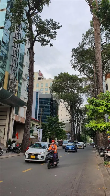 Bán nhà nát mặt tiền bùi thị xuân giá cực tốt, cách ga metro bến thành chỉ 500 m.