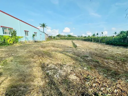 Bán đất chính chủ 978.2m2 2 mt đường liên xã, gần ubnd xã long thới, chợ lách, bến tre