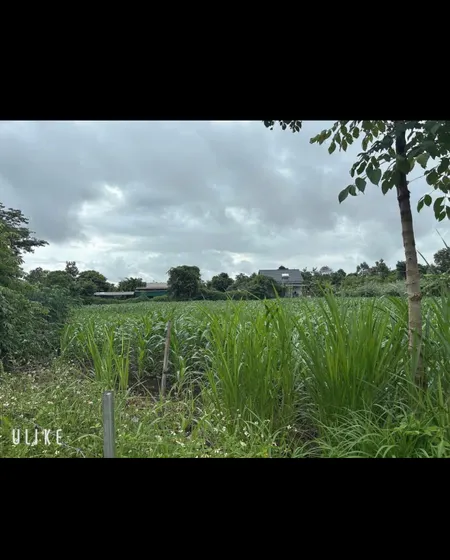 Bán đất 470m² giá 1.1 tỷ Xã Hòa Phú