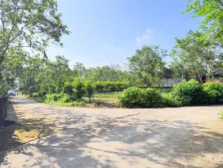 Em bán hơn 2000m đất vườn tại Tam Đảo giá chỉ 2,8tr/m