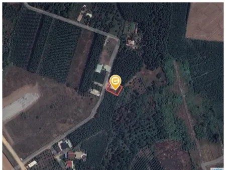 Bán nhà 565.5m² ngang 21m giá 3.9 tỷ Xã Long Phước