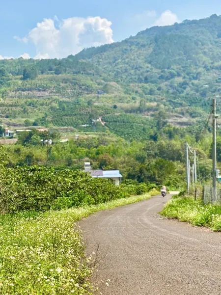 Lô đất 699tr gần sân bay Liên Khương. Xã Hiệp Thạnh 117m2