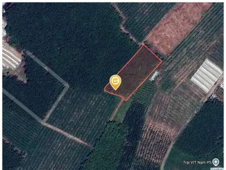 Bán đất 1095.9m² giá 980 triệu Xã Phước Thành
