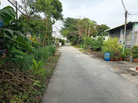 (L836) Đất mặt tiền Nguyễn Thị Đăng, xã Tân Thạnh Đông, dt 5m x 26m, đất ở hiện hữu, giá 2 tỷ 350