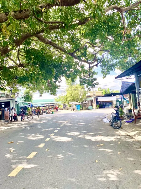 Đất Nam Phước- Ngay Đường Nhựa Âu Cơ- gần chợ-115m2 ngang 6m đường 5m - Giá 8xx Sẵn Sỗ