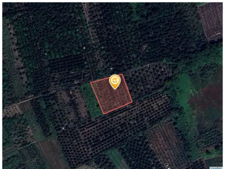 Bán đất 4482m² ngang 78m giá 9 tỷ Phường Phú An