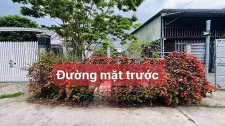 Bán đất thổ khu dân cư Thôn Trung Nam xã Diên Khánh, Khánh Hòa. Lô 2 mặt tiền xây nhà vườn đẹp.