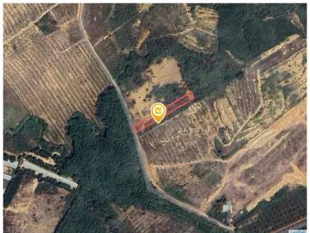 Bán đất 1003m² ngang 10m giá 400 triệu Xã Đồng Tâm