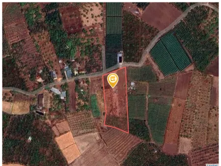 Bán đất 892m2 ngang 10m giá 250 triệu Xã Ea Wer