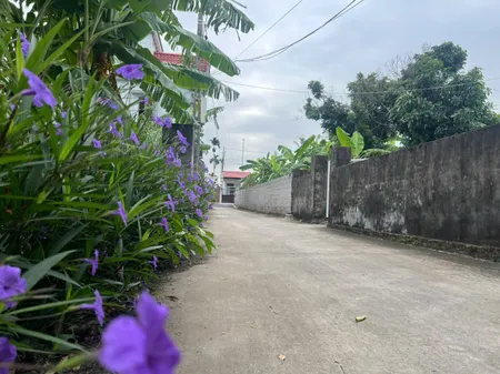 🔥 CHÍNH CHỦ GỬI BÁN LÔ ĐẤT ĐẸP TẠI THẤP LINH, MINH TÂN (NAY LÀ XÃ KIẾN MINH) – KIẾN THỤỴ, HẢI PHÒNG 🔥