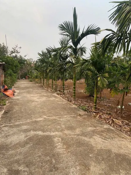 Bán đất 202.9m² giá 820 triệu Phường Thành Nhất