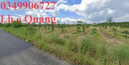 chủ cần nhượng lại lô đất 1650m2 thổ vườn MT bình dương ngang 10 giá 910 triệu bao ra tên ra sổ