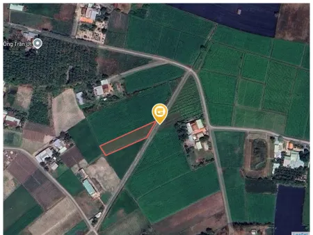 Bán đất 1453m² ngang 12.4m giá 2 tỷ Xã Hậu Nghĩa