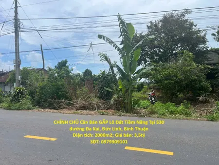 CHÍNH CHỦ Bán GẤP Lô Đất Tiềm Năng Tại 530 đường Đa Kai, Đức Linh, Bình Thuận
