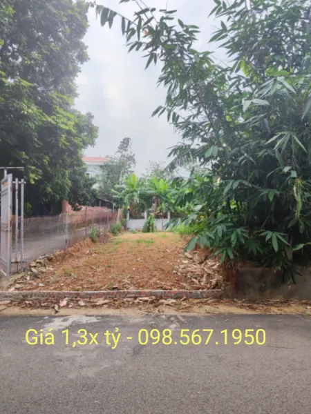 Bán đất thổ cư gần trường Tiểu Học cơ sở 2 Tam Quan, Tam Đảo, Vĩnh Phúc