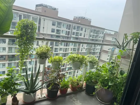 Cần bán căn 60m2 tốt nhất 3850 tỷ đã có sổ 2pn1wc dự án mizuki park 0915 765 *** xem nhà hồng ngoc