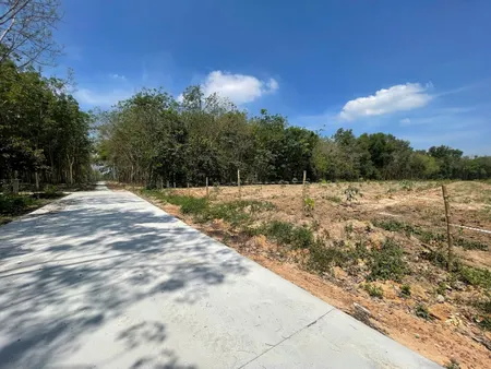 Bán đất 18848,6m² giá 27.9 tỷ Phường Chánh Phú Hòa có thể lên được 6000m2 thổ cư