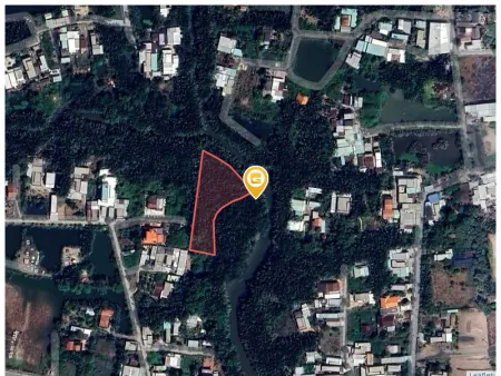 Bán đất 2616.5m² Xã Hưng Long