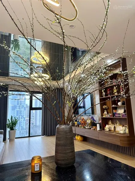 Chính chủ cần bán gấp căn 78m2 vip toà a la casta nội thất nhập khẩu