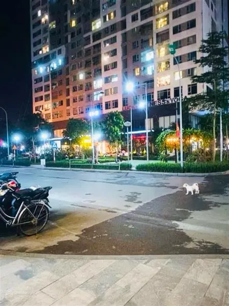 Bán ch đẹp tại n03t3&t4 ngoại giao đoàn, 19 tỷ, 158m2, 3pn, 3wc siêu hot