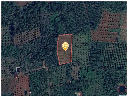 Bán đất 5082.9m² ngang 45m giá 1.65 tỷ Xã Ea Tul