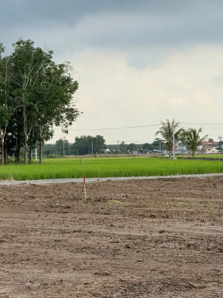 ĐẤT FULL THỔ CƯ CHÂU THÀNH 170TR