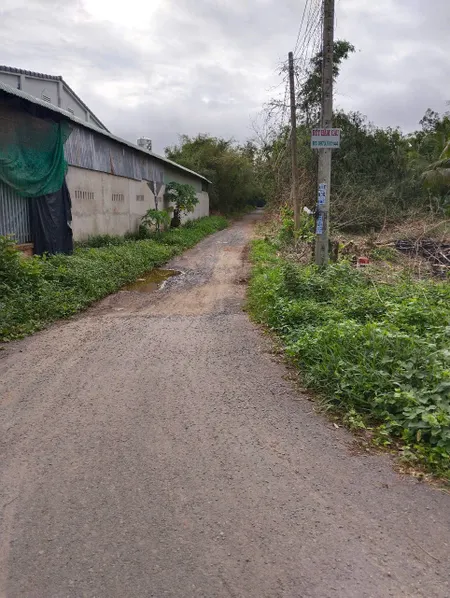 ĐẤT CÂY LÂU NĂM CÓ 213M THỔ CƯ.