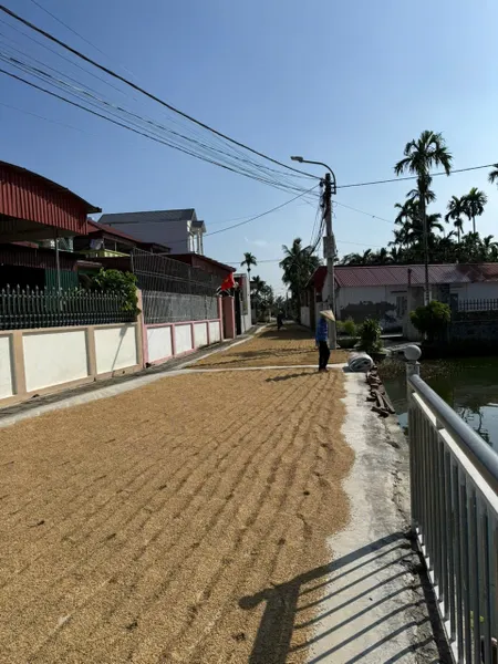 Bán nhà 193m² ngang 8m giá 1.85 tỷ Xã Vĩnh Hòa