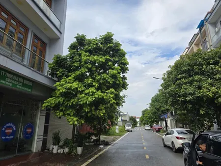 Bán 105m đất khu đô thị tùng bách quế võ. Dãy TH10 làn 2 đường 36. Cạnh khu công nghiệp quế võ. Phường quế võ bắc ninh