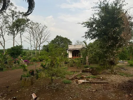 Bán đất nông nghiệp xã Cẩm Đường Huyện Long Thành Đồng Nai