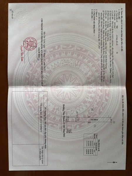 Mặt tiền Tân Thành 25, 245m, tc100. Thương lượng nhẹ.