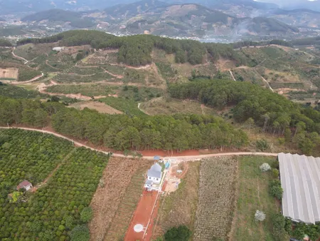 🌲 GIÁP RỪNG THÔNG - VIEW ĐỒI CHÈ MÊ LINH 🌲