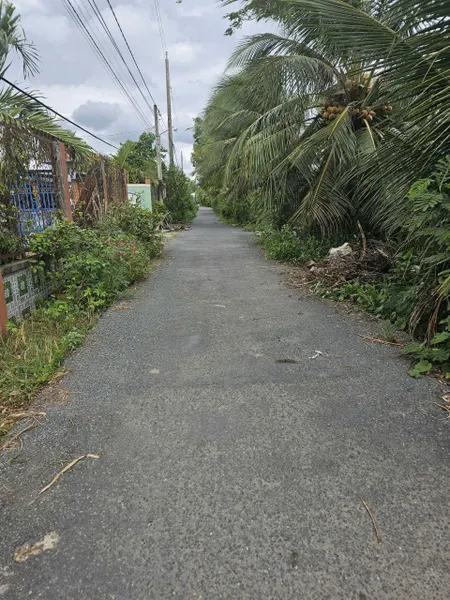 Cơ hội sở hữu đất thổ cư trung tâm An Lục Long – Châu Thành – Tây Ninh (Long An cũ)