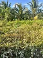 Nền ngang 18m đường kênh thị đội ngang chùa quan âm linh ứng (phật học 2)