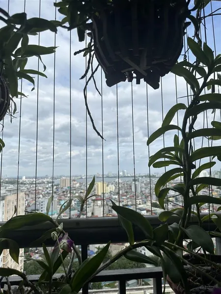 Cần bán căn hộ 2pn dt 88m2 view hồ tây toà ecolife tây hồ