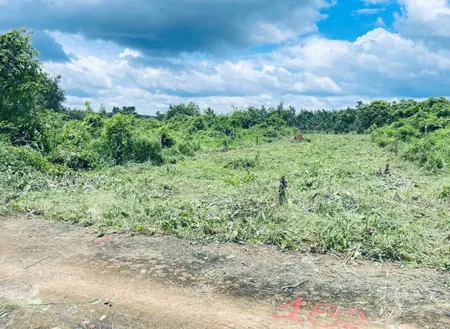 Kẹt bán Đất Phường Bình Long/5*60*50ODT/Vị trí đẹp/Giá ngộp rẻ/3xxtr/0987117454